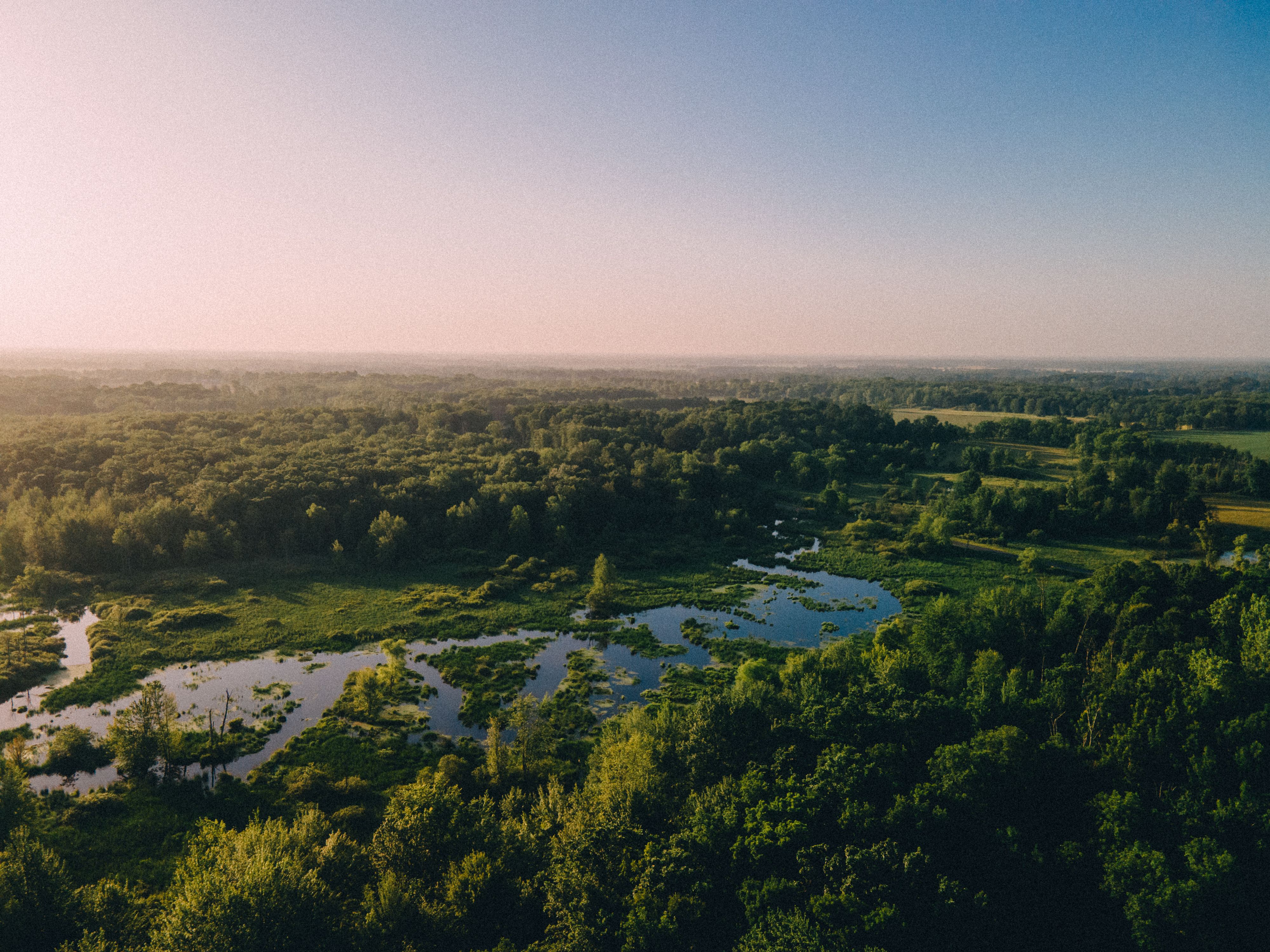A vast expanse of lush green wilderness under a soft, hazy sky.